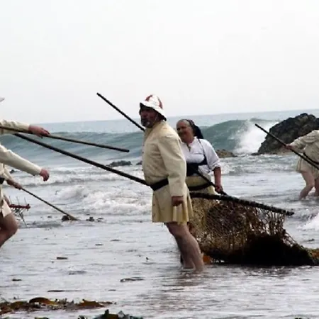 Amazing House On The