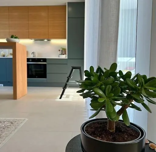 Amazing House On The Prázdninový dům *