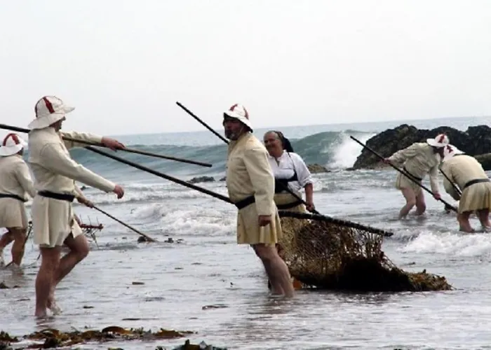 Amazing House On The