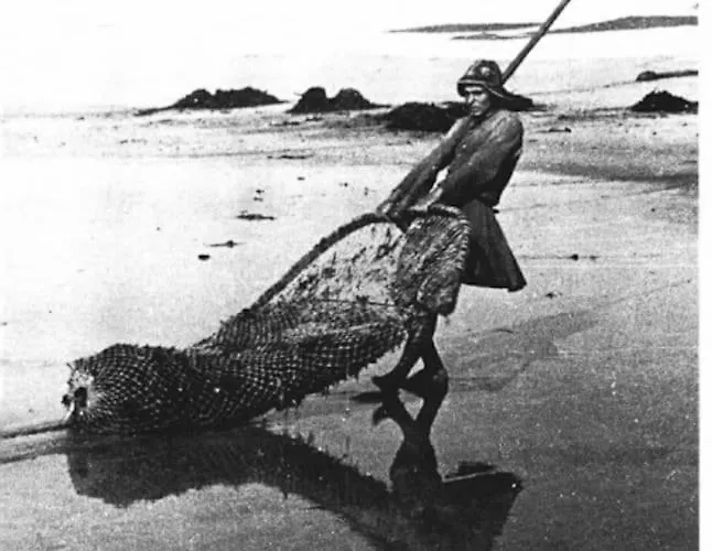 Amazing House On The * Marinhas (Braga)