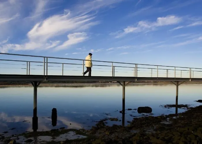 Amazing House On The *